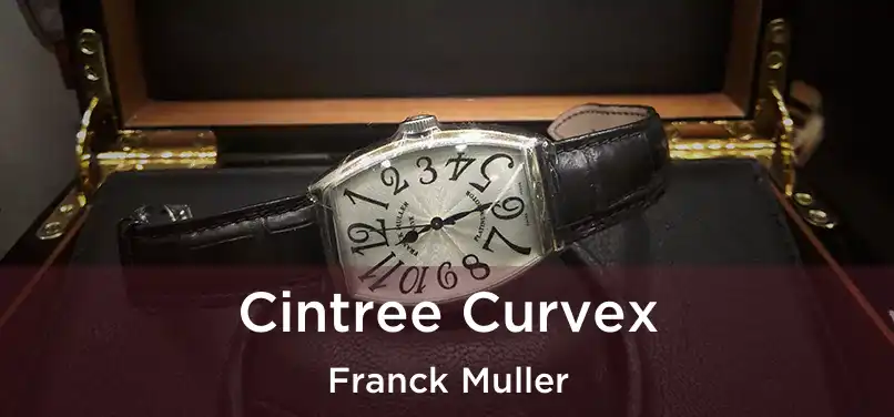 Cintree Curvex Franck Muller